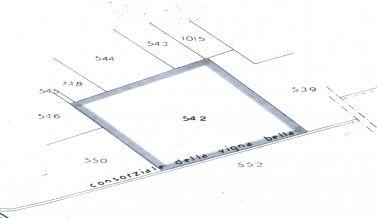 VB65