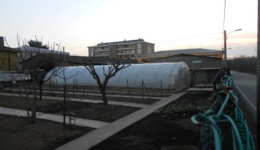 VB204 via del gerbone