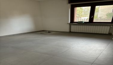 VB381